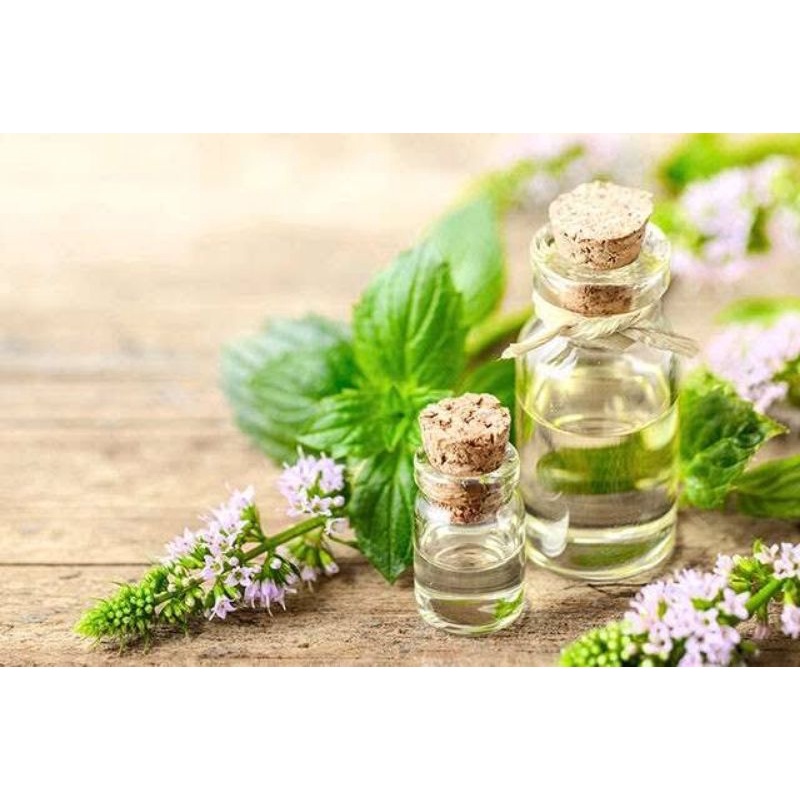 Peppermint essential oil 1 liter Carrier oil Cosmetic grade Cold pressed Organic
