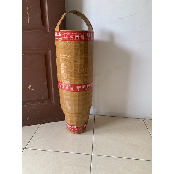 domesticum variegata