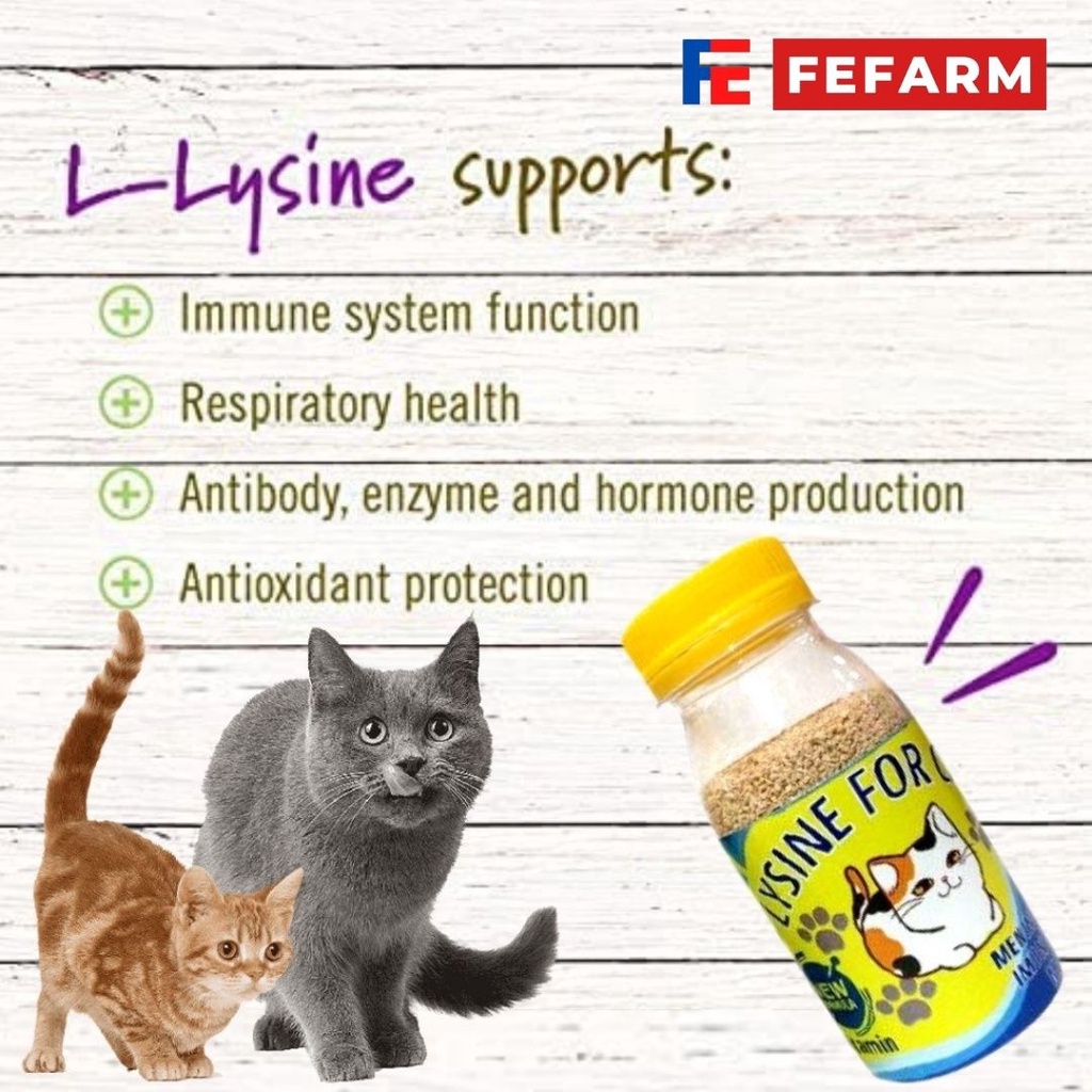 PENGGEMUK KUCING LYSINE PLUS VITAMIN LENGKAP FEFARM