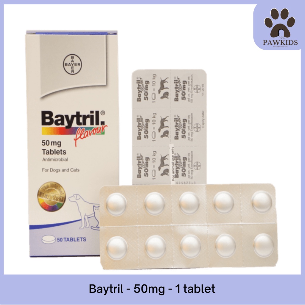 Baytril Tablet 50mg  Antibiotik Kucing dan Anjing