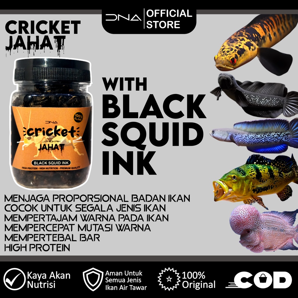 JANGKRIK CRICKET KERING JAHAT BLACK SQUID INK pakan untuk tinggi akan protein Dari Tinta cumi alami 
