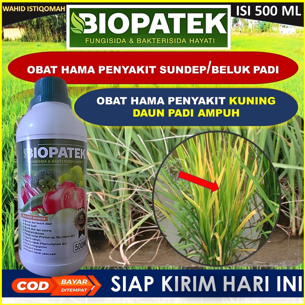 TERLARIS Biopatek Obat Semprot Hama Kuning Daun Padi Terampuh - obat padi Paling Ampuh - Obat Hama P