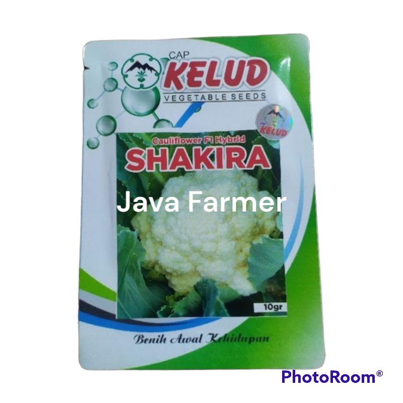 Benih Bunga Kol SHAKIRA 10 Gram