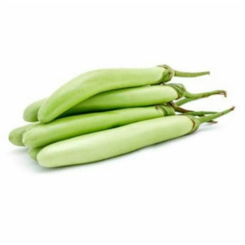 

Sayur terong ijo fresh 500gr, sayur terong ijo, terong ijo segar