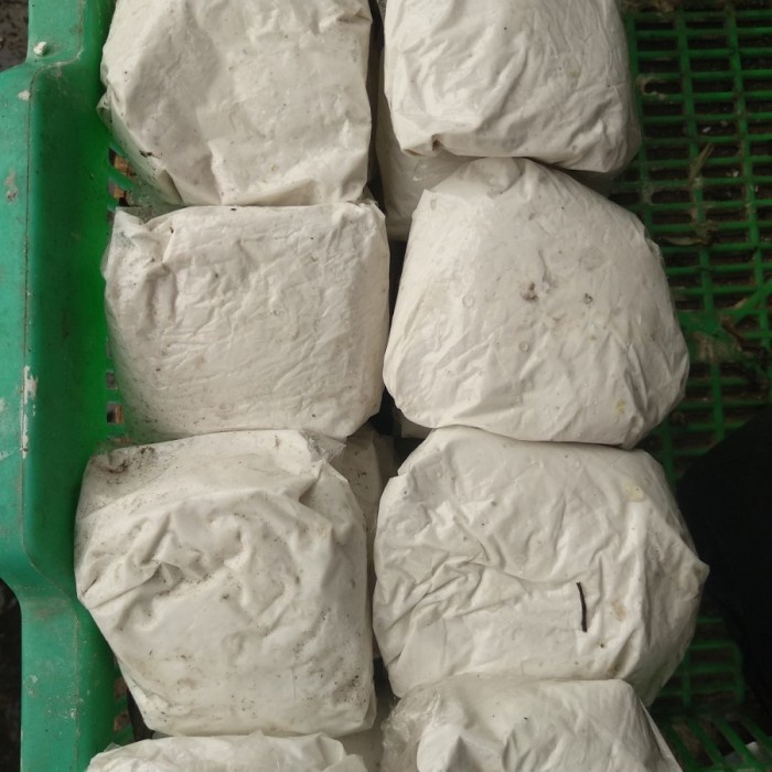 

Kapur Masak Berkualitas - 1 Bungkus