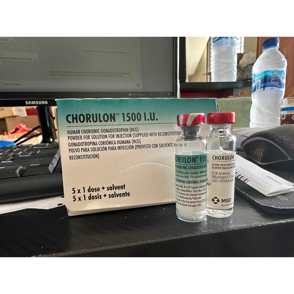 CHORULON 1500IU INTERVET BY SMS 1PAKET CHORULON