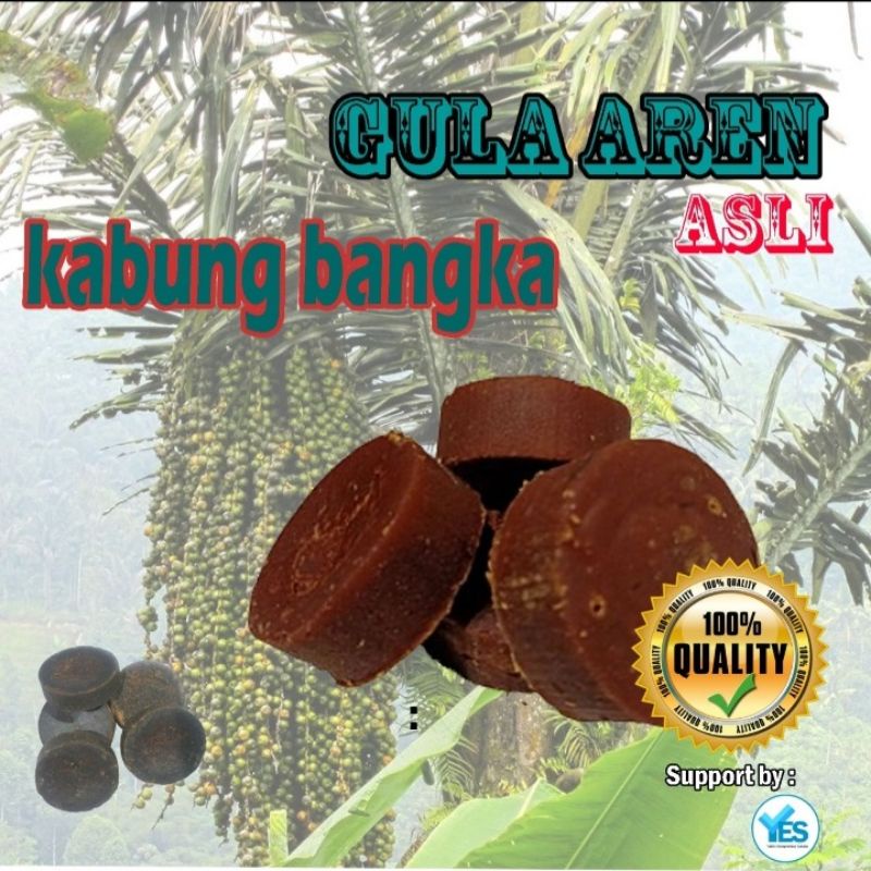 

GULA_AREN