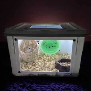 Image of Kandang Hamster / Landak Mini / Gerbil / Marmut Reptil Box Eskrim 8L kandang Akrilik dengan LED