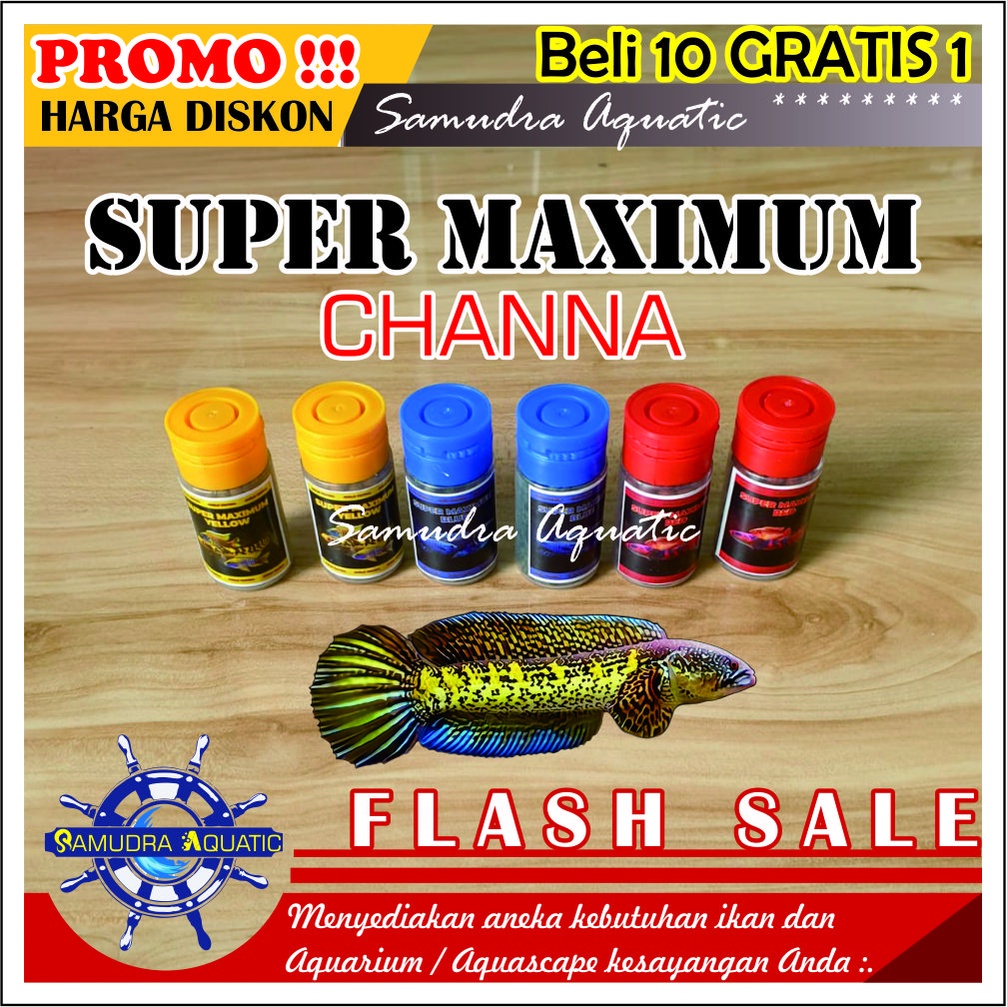 SUPER MAXIMUS Chana, Premium Blue, Premium Yellow, Premium Red, Pelet Ikan Chana | Pakan Warna Chana | Cana | Channa | Pakan Ikan Predator