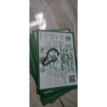 RING APBN KACER+ SERTIFIKAT