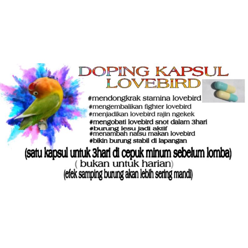 Doping kapsul lovebird