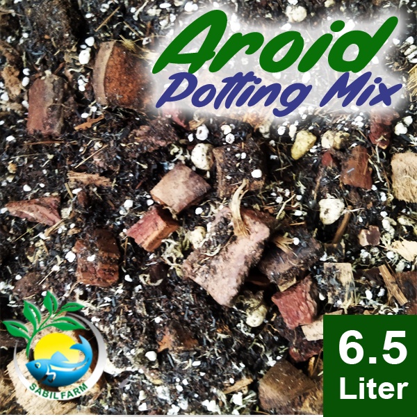 AROID POTTING MIX PREMIUM - CHUNGKY MIX UNTUK SEMUA JENIS AROID
