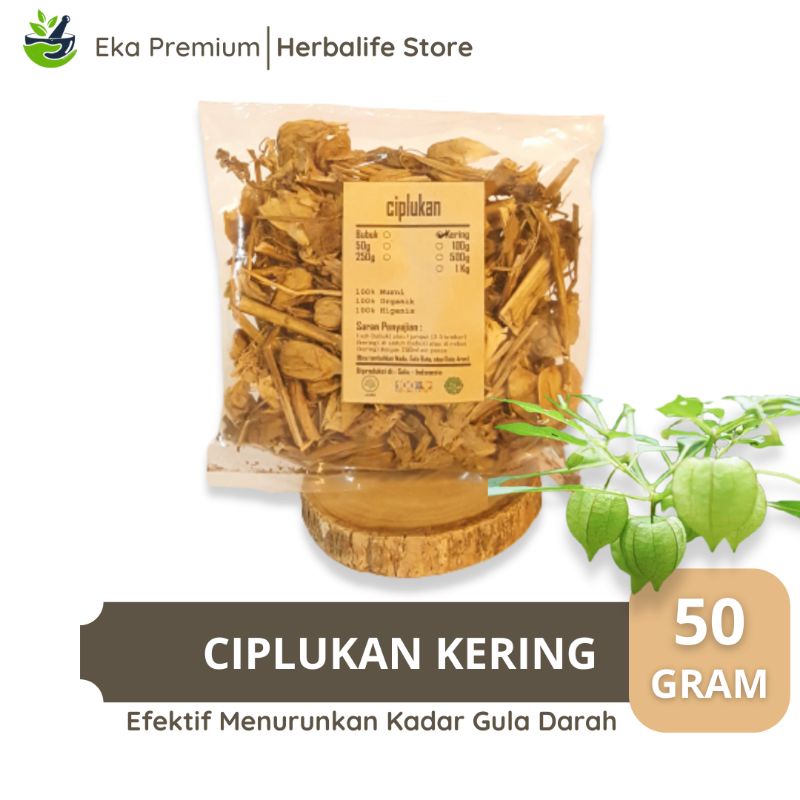 

Daun Ciplukan Kering 50 Gram Asli Murni Organik Ramuan Buah Herbal Jamu Tradisional Obat Diabetes Gula Darah Stroke Ayan Epilepsi Rematik Asam Urat