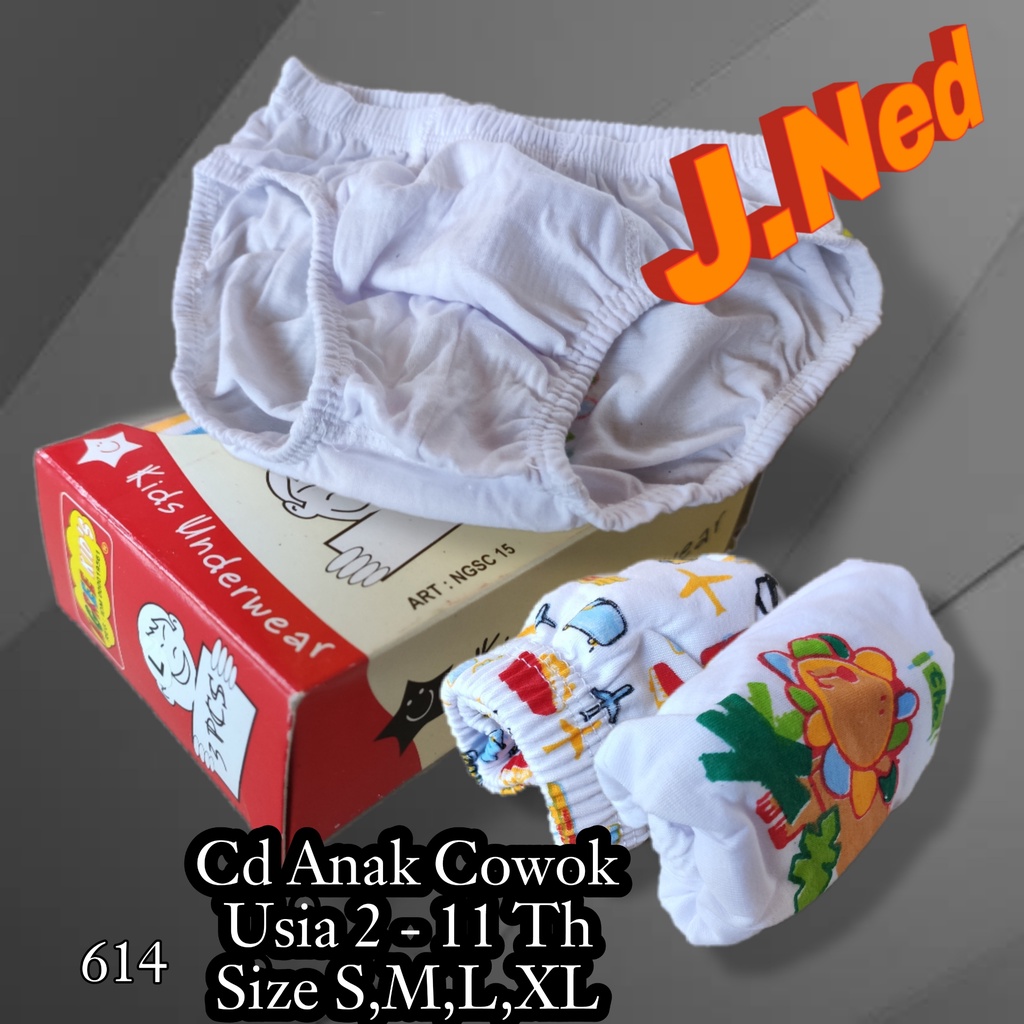 J614T (ISI 3PCS) CELANA DALAM ANAK PRIA AGREE NGSC-15 SIZE S - XL (2 - 11 TH)