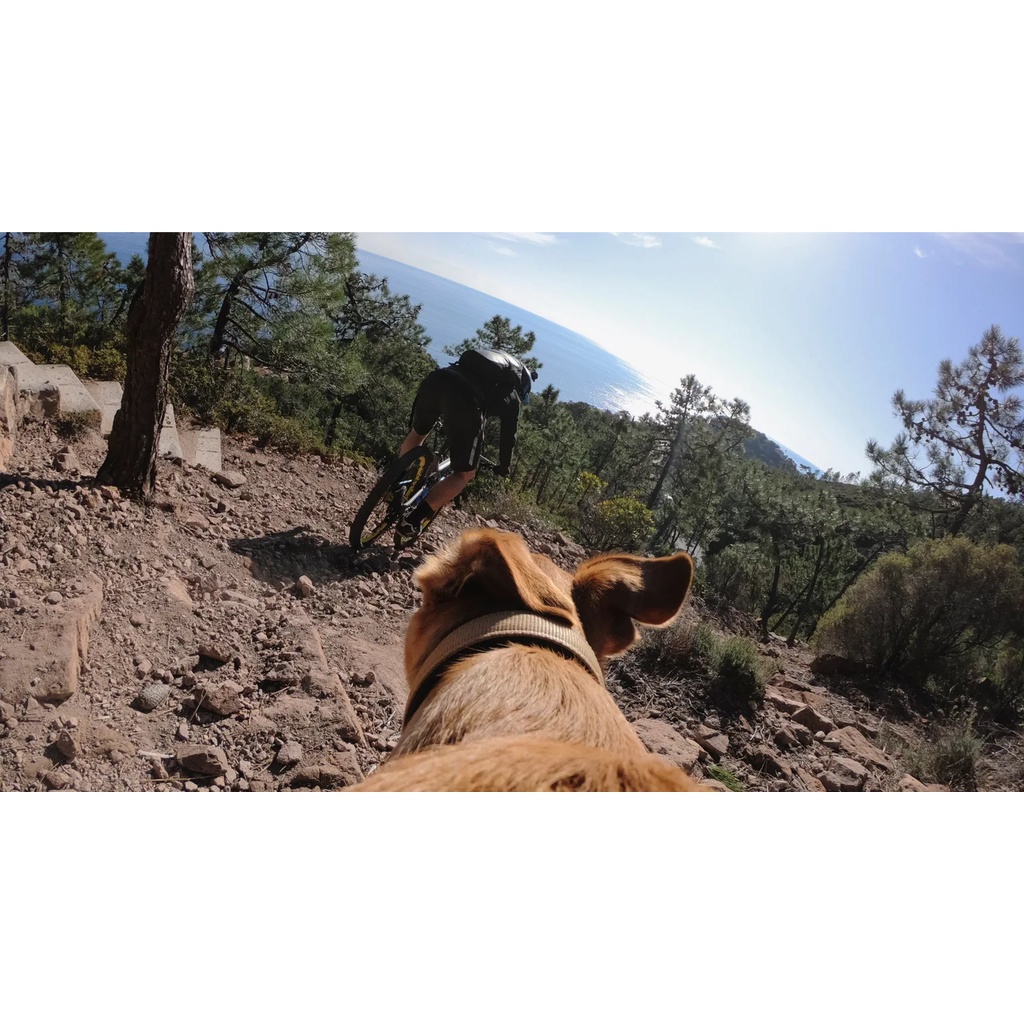 Fetch Dog Harness GoPro (ADOGM-001) - GoPro Hero Acc Fetch Dog Harness