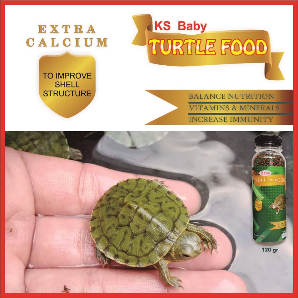 KS Turtle Food Pakan Kura Kura Brazil Pelet Pellet Turtle Vit Reptil Katak Kodok Kadal Mix / Grenn Turtle Vit 60gr 120gr 1mm 3mm 5mm