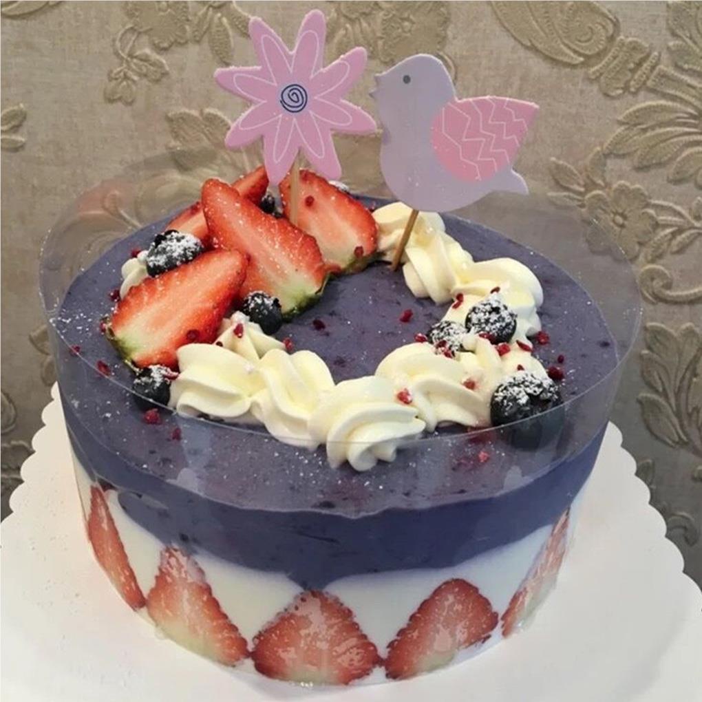 Kerah Kue Clear Acetate Strip Chocolate Mousse Cake Transparan Aksesori Baking