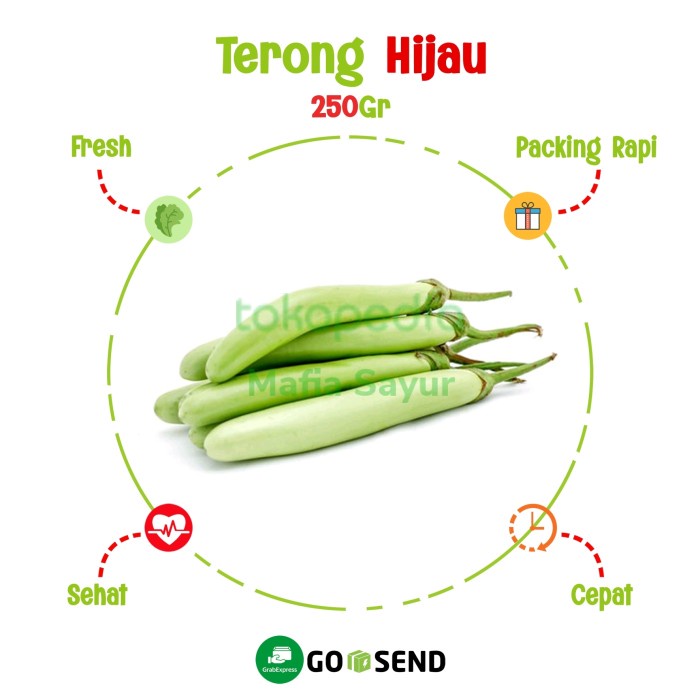 

TERONG HIJAU / EGGPLANT / SAYUR SEGAR ONLINE MURAH - /buah