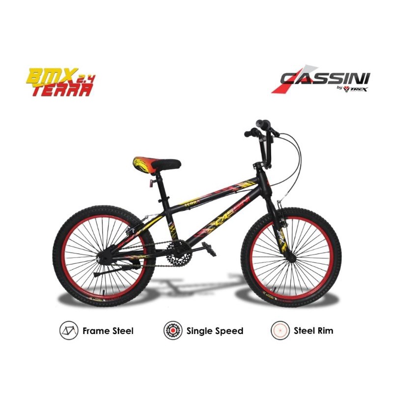 SEPEDA BMX TERRA 2.4 CASSINI BY TREX