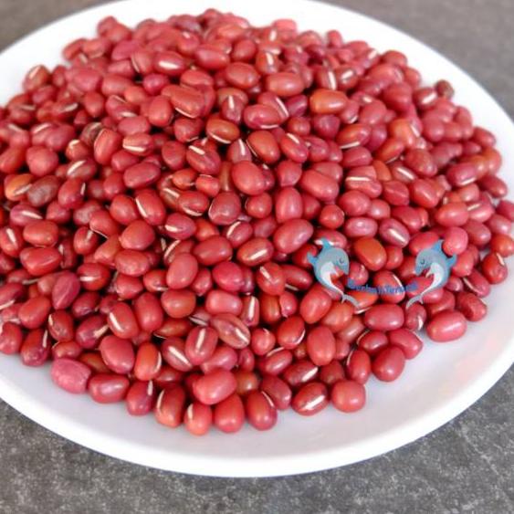 

STAR BRANDS Kacang Merah ADZUKI 500Gr SUPER Import China / Azuki Red Beans !!!