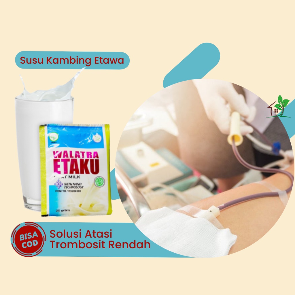 

Walatra Etaku, Susu Pembah Trombosit, Susu Atasi Kurang Darah, Susu Atasi HB Rendah, Susu Atasi Anemia, Susu Atasi Darah Rendah, Susu Penambah Darah, Susu Atasi Tensi Tinggi, Susu Atasi Vertigo, Susu Kambing Etawa
