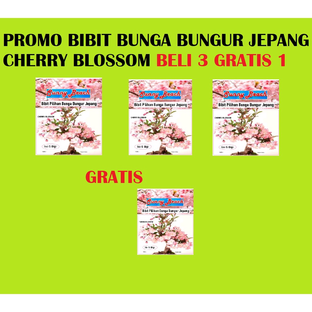 Promo Bibit Bunga Bungur Jepang Cherry Blossom Beli 3 Gratis 1