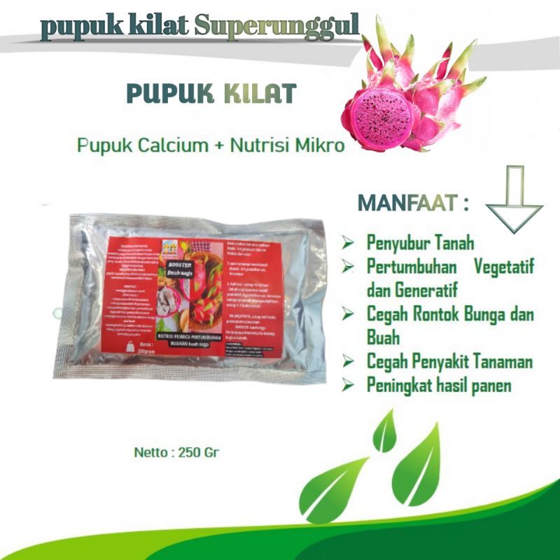 Pupuk Booster Organik Pelebat Buah Naga Dan Perangsang Agar Cepat Berbuah