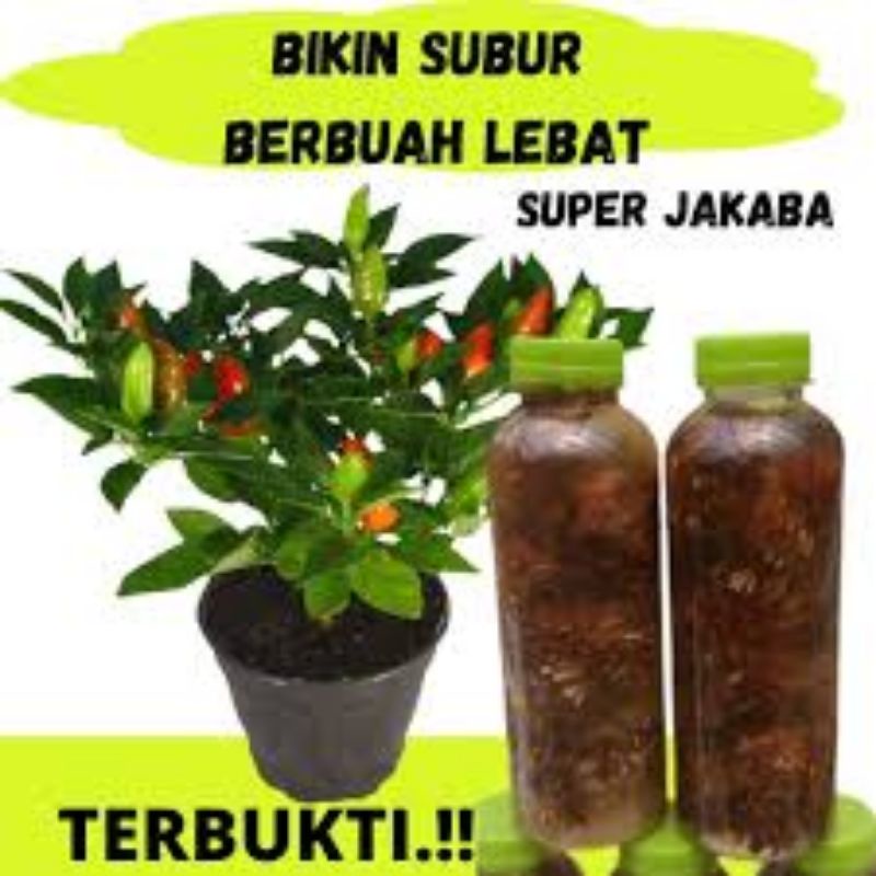 

Biang JAKABA full jamur 250lm