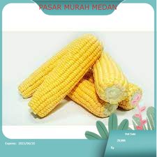 

Jagung Manis 500gr Segar Medan | PASAR MURAH MEDAN