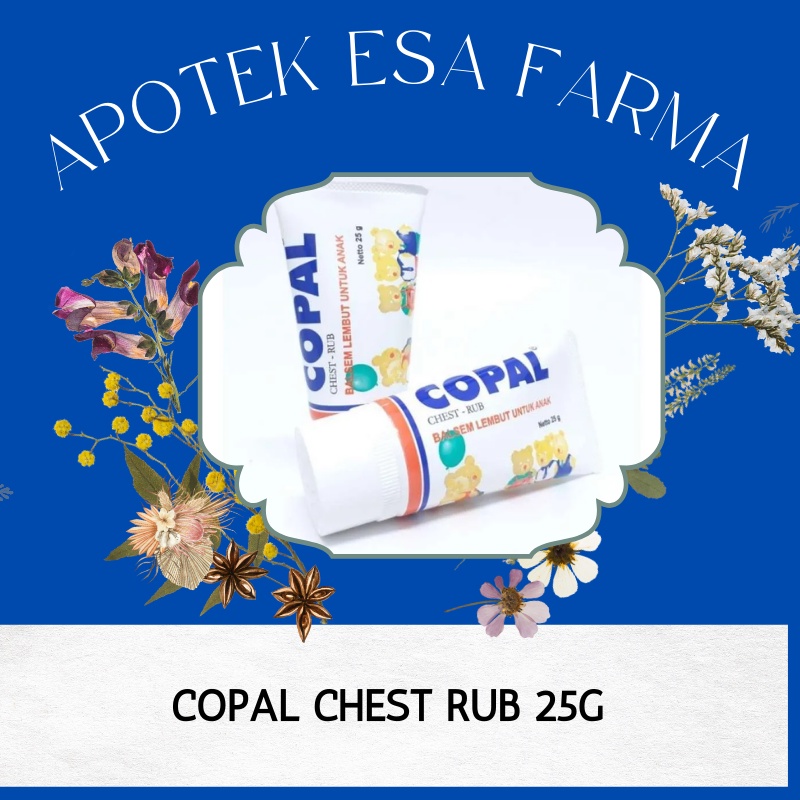 Jual Copal Chest Rub Balsem Anak 25Gr Tube / Obat Gosok / Mual / Masuk