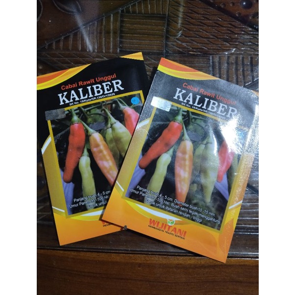 Benih Cabe Rawit Kaliber, KALIBER, benih Cabe Rawit Toleran Virus Gemini