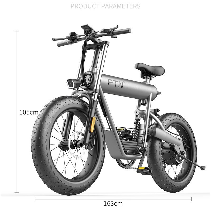 Coswheel FTN T20 Electric Bicycle / sepeda listrik