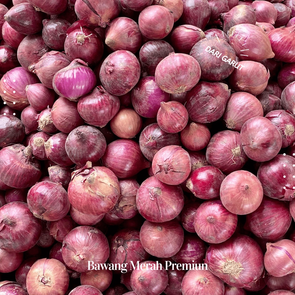

Bawang Merah 1 Kg Super Garut Premium Bahan Bumbu Masak