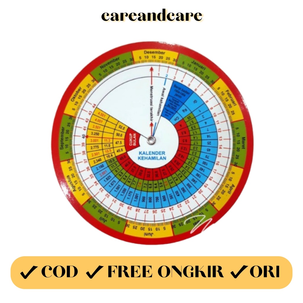 Kalender Kehamilan bumil - Kalender hamil menghitung usia janin