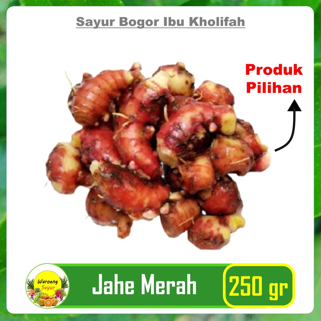 

Jahe Merah Super Segar 250 Gram Rempah Sayur Sayuran Segar Bogor