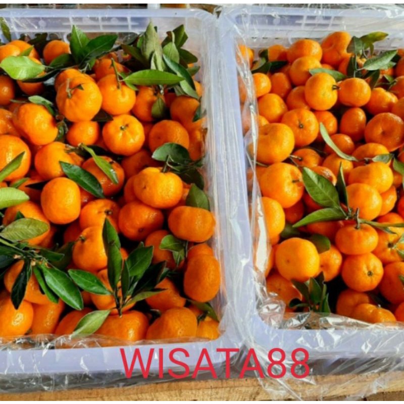 

buah jeruk santang daun manis segar murah suplier buah import 500gr