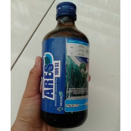 ARES 100SL 300ml insektisida hama wereng Trips Kutu Kebul Insetisida Tanaman Padi Cabe Cabai Pertani