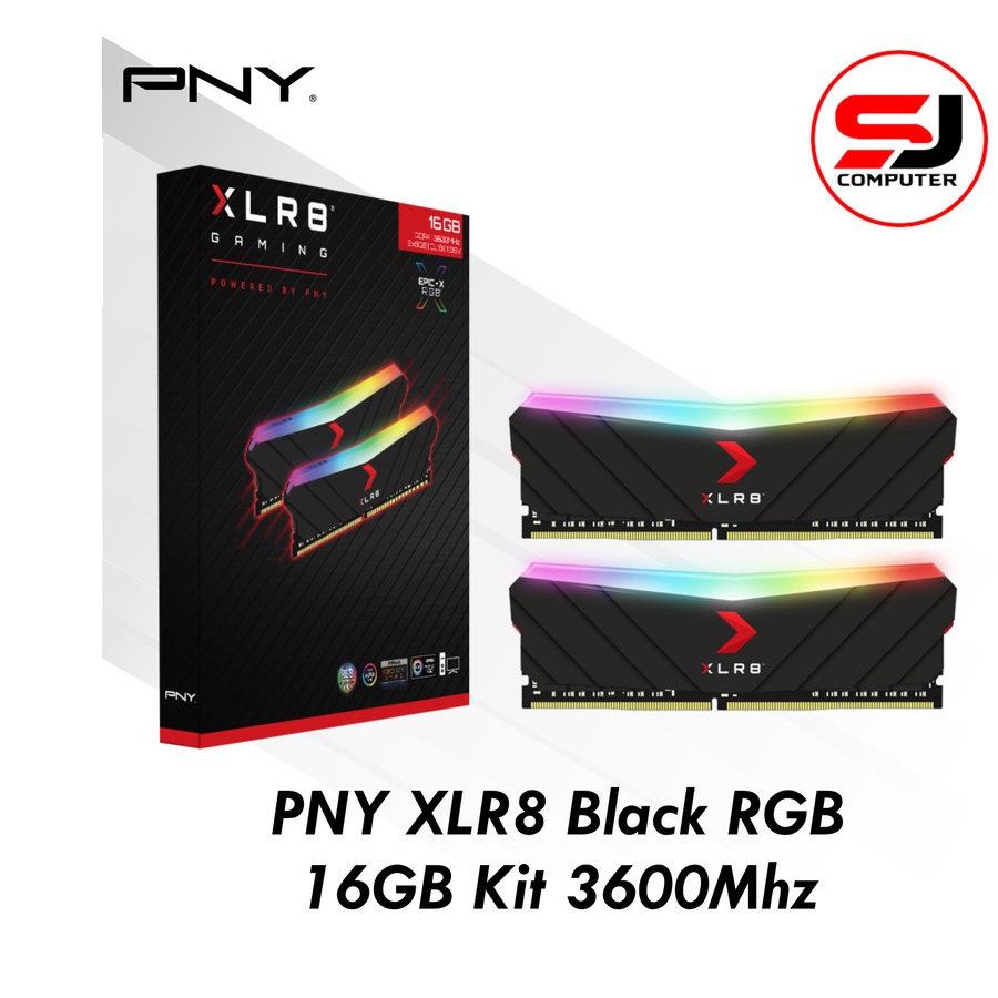 Ram PNY XLR8 RGB Black 16GB KIT DDR4 3600Mhz | Memory Longdim PC