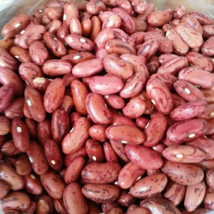 

Kacang Merah Fresh Organik 200gr