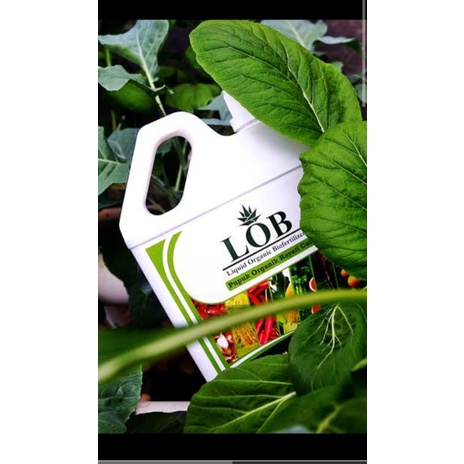 Jual Pupuk Organik Hayati Cair Lob Liquid Organic Biofertilizer