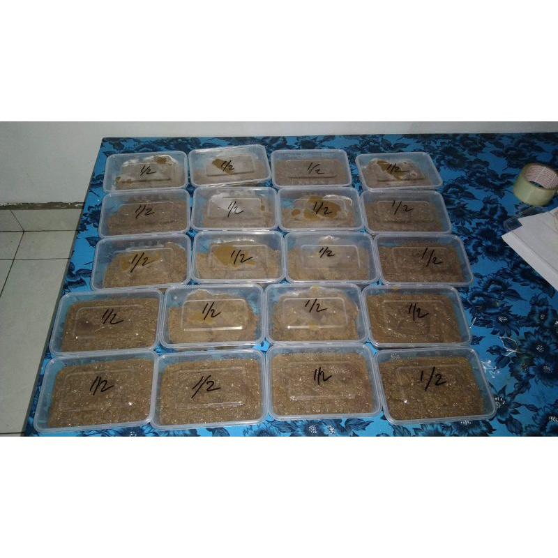

BUMBUMIEIKANBANGKABELITUNG