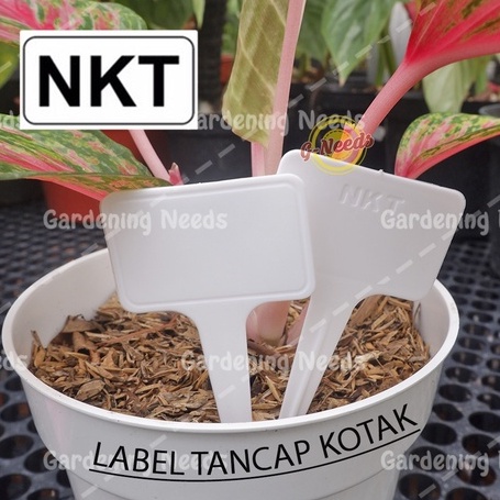 

Label Tanaman NKT TANCAP KOTAK / Tag Tanaman NKT / Name Tag NKT