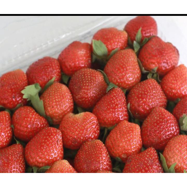 

buah strawberry per pack