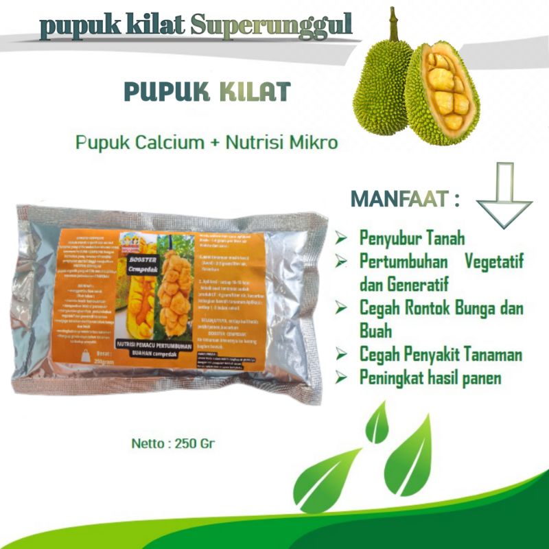 Pupuk Booster Organik Pelebat Buah Cempedak Dan Perangsang Agar Cepat Berbuah