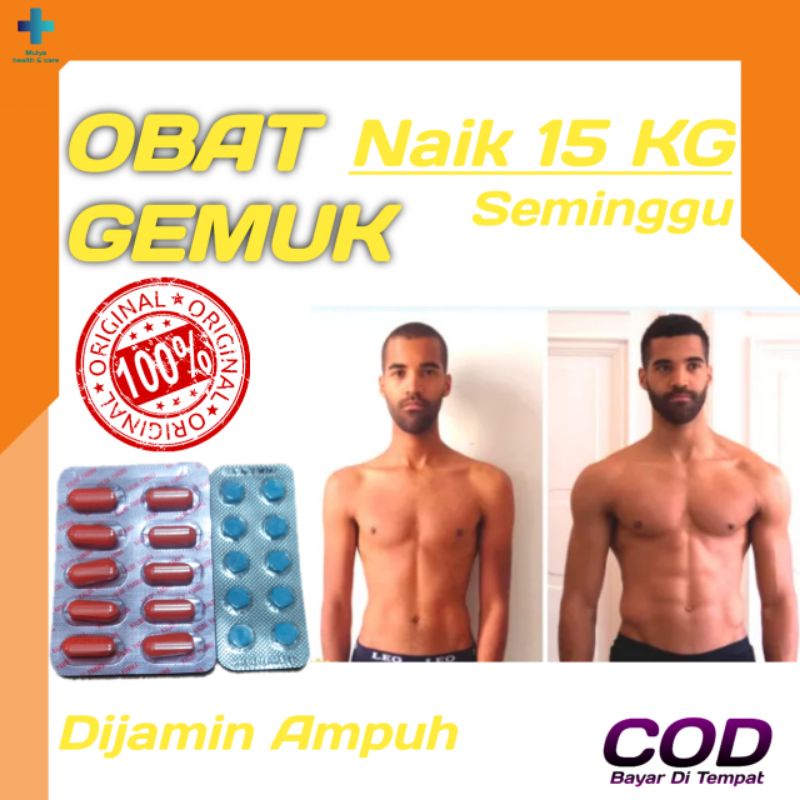 Obat Gemuk Badan Dan Penambah Nafsu Makan Ampuh