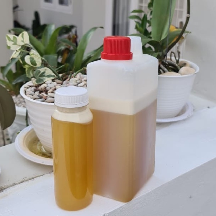 

Madu Kaliandra 1kg Curah Super