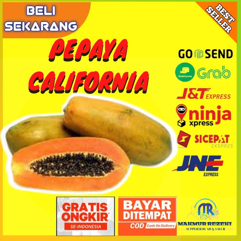 

Terlaris✺↓ BUAH PEPAYA CALIFORNIA CALINA LOKAL MANIS SEGAR MATANG HARGA PER BUAH UKURAN 1.2-1.5 KG 37