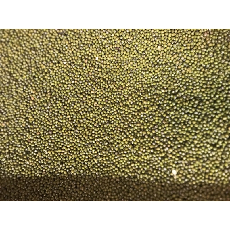 

kacang hijau