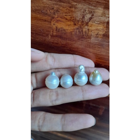 Mutiara Air Laut Lombok Asli