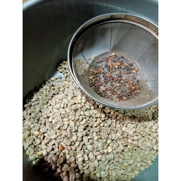 

grean bean Arabika luwak liar